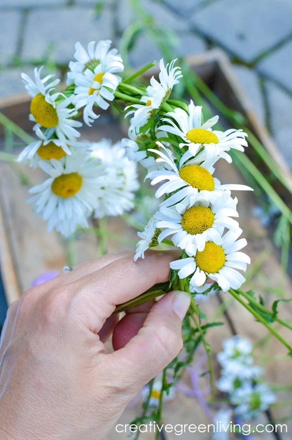 How to make a flower crown or a flower necklace or daisy bracelet made with just flowers How to braid flowers together