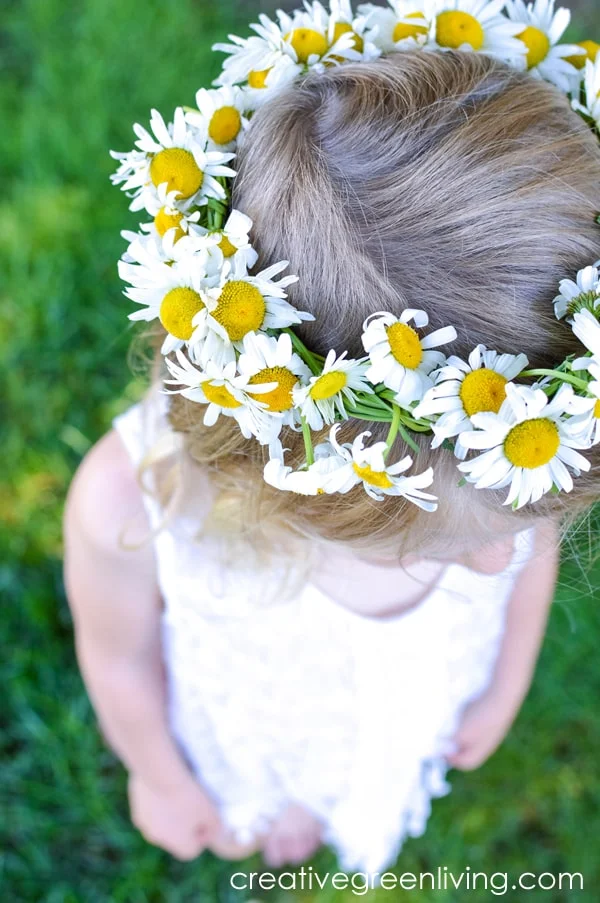 How to make a braided daisy chain flower crown with just flowers! The simple step by step tutorial teaches you easy ways to make flower crowns with daisies, dandelions and other weeds and wildflowers. It's perfect for making flower crown headbands or flower bracelets or necklaces. #daisychain #flowercrown #flowercrowntutorial #naturecrafts How to make a braided daisy chain flower crown with just flowers! The simple step by step tutorial teaches you easy ways to make flower crowns with daisies, dandelions and other weeds and wildflowers. It's perfect for making flower crown headbands or flower bracelets or necklaces. #daisychain #flowercrown #flowercrowntutorial #naturecrafts