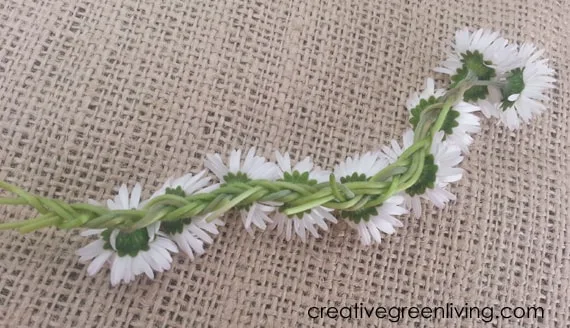 What the back of a braided daisy chain looks like the back of a braided daisy chain