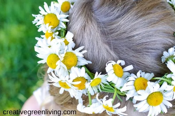 How to Make a Daisy Flower...