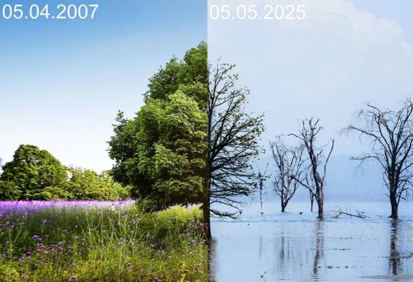 Adding Datestamps to Photos for Environmental...