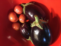 What Food Are You Growing ?