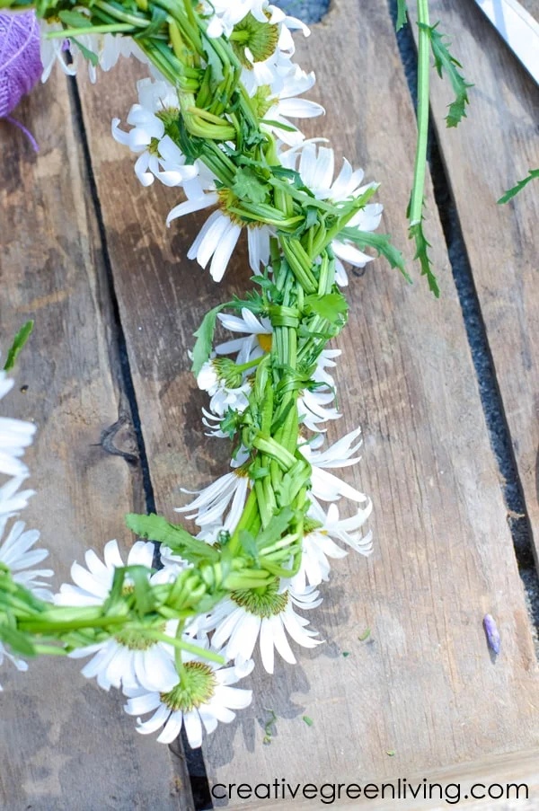 How to make a daisy crown by braiding flowers together what the back of a braided daisy chain flower crown looks like