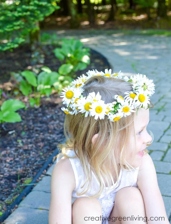 Step by step tutorial for how to make a flower crown from daisies. The DIY tutorial shows you how to make a daisy chain from wildflowers. This same technique works to make a flower headband or flower crown from any soft stemmed flower like daisies, dandelions or other wildflowers. #daisycrown #daisychain #flowercrown #naturecrafts Step by step tutorial for how to make a flower crown from daisies. The DIY tutorial shows you how to make a daisy chain from wildflowers. This same technique works to make a flower headband or flower crown from any soft stemmed flower like daisies, dandelions or other wildflowers. #daisycrown #daisychain #flowercrown #naturecrafts