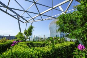 Vertical Green Walls vs. Horizontal Ground...