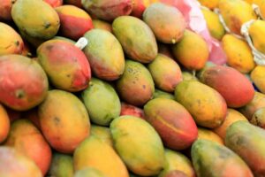 Let’s go on a Mango hunt...