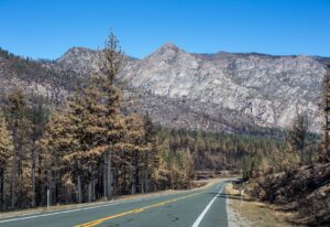 The Trump admin claims roads in...