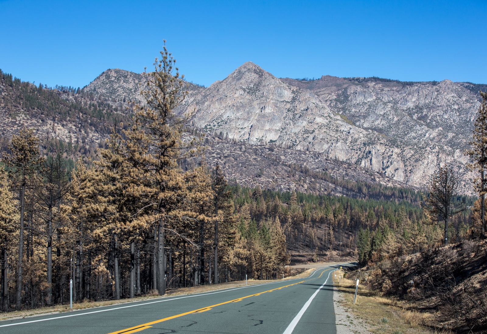 The Trump admin claims roads in...