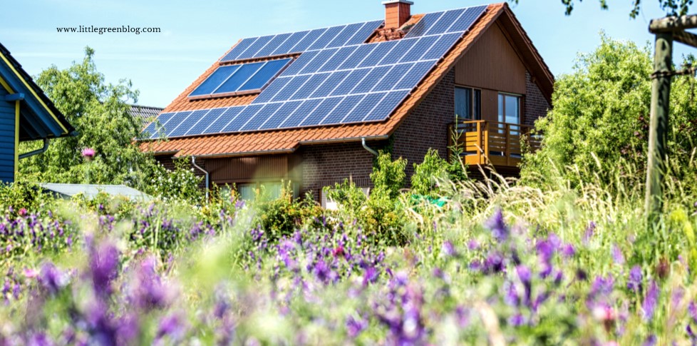Is Your Home Too Shaded for...