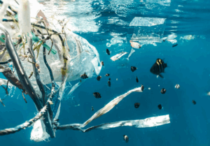 What is compostable packaging? – Little...