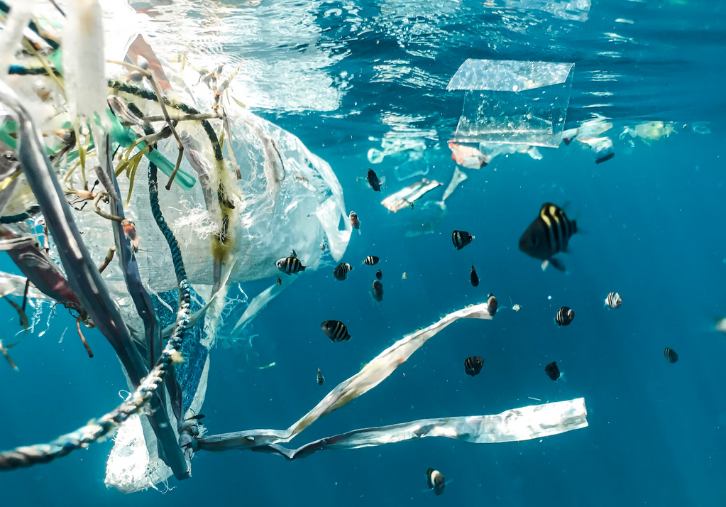 single use plastic packaging pollution