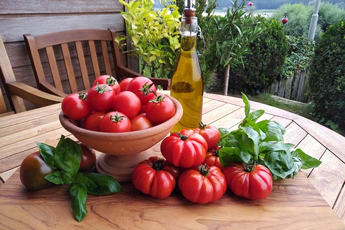 Tomatoes are the divas of the garden. (The Grow Network) Tomatoes are the divas of the garden. (The Grow Network)