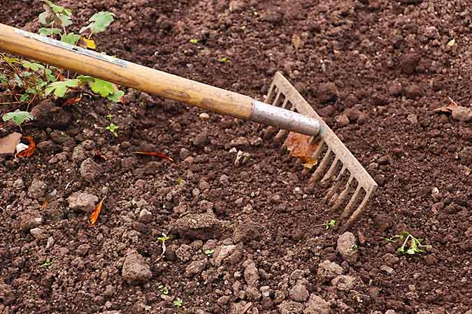 A hard-tined landscape rake is an essential garden hand tool. (The Grow Network) A hard-tined landscape rake is an essential garden hand tool. (The Grow Network)