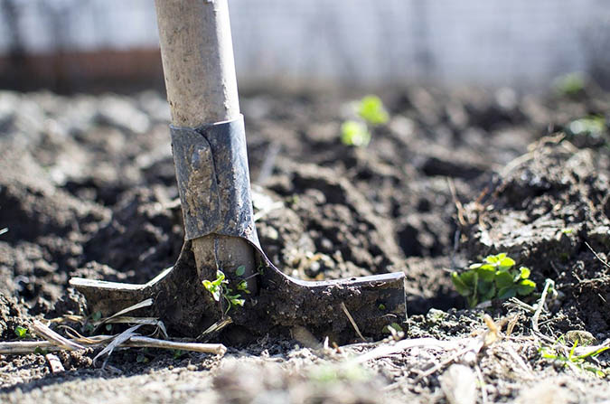 The first garden hand tool on our Top 5 list is a good shovel. (The Grow Network) The first garden hand tool on our Top 5 list is a good shovel. (The Grow Network)