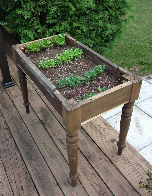 How to Make a Lettuce Table from Cast Off Furniture Cute Upcycled Lettuce table #creativegreenliving